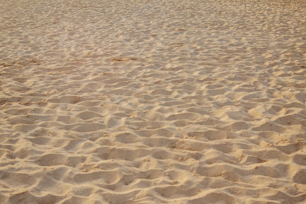 Sabbia in riva al mare. Spiaggia. Concetto di estate. Copia spazio.