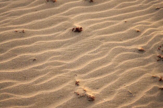 Sabbia nel deserto con un disegno del vento come sfondo