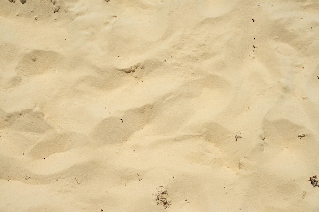 Sabbia nel deserto con un disegno del vento come sfondo