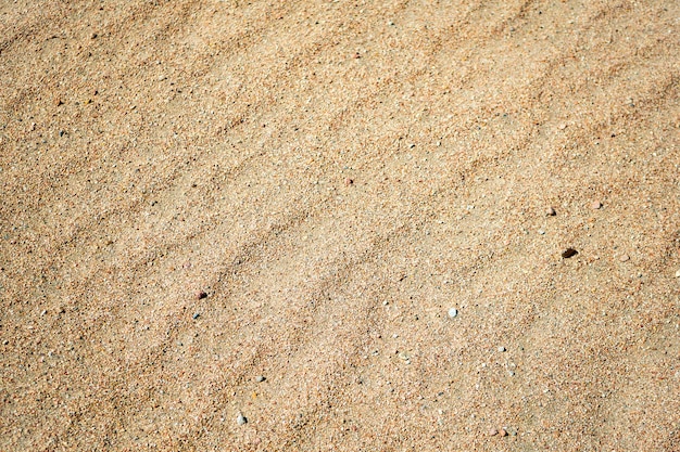 Sabbia sulla spiaggia a giornata di sole