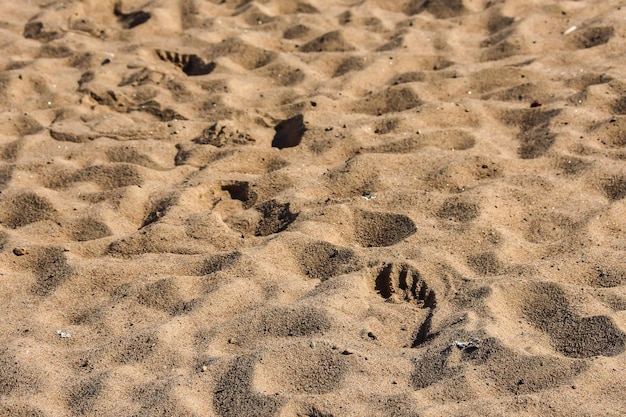 Sabbia sulla spiaggia e impronte