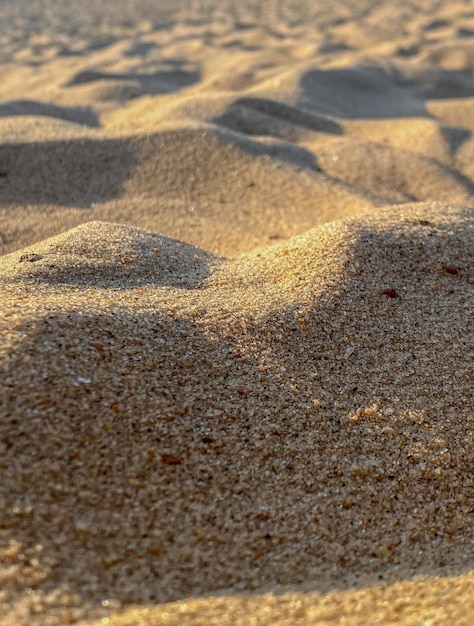 Sabbia sulla spiaggia nella luce della sera Profondità di campo poco profonda