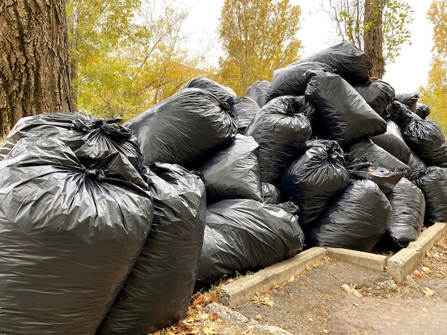 Sacchetti di plastica neri della spazzatura pieni di foglie d'autunno.