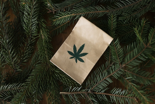 Sacchetto di carta con l'icona di marijuana nella cornice della vista dall'alto di rami di abete