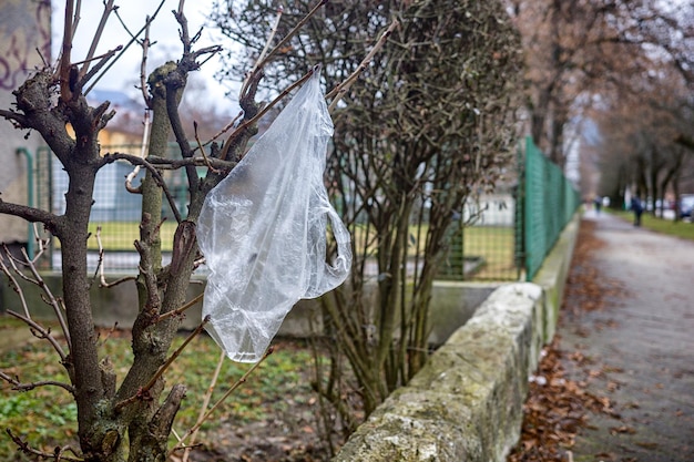 Sacchetto di plastica su un albero in città