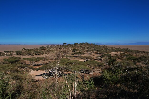 Safari in Kenia e Tanzania, Africa