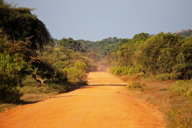 Safari in Sri Lanka