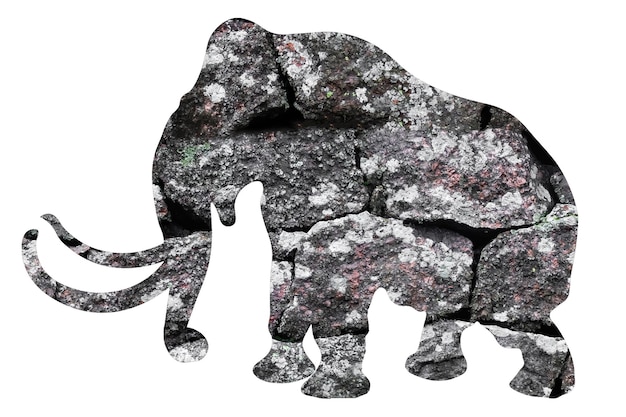 Sagoma di elefante con struttura in pietra isolato su sfondo bianco