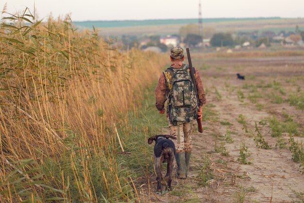 Sagoma di un cacciatore con una pistola tra le canne contro il sole, un'imboscata per anatre con cani