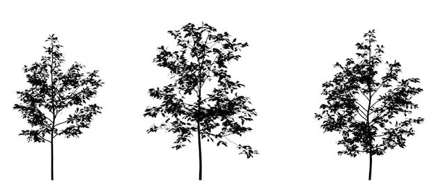 Sagoma nera di un albero a foglie decidue su sfondo bianco