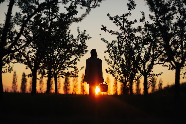 Sagoma scura di donna con un cesto di fiori al tramonto nel parco