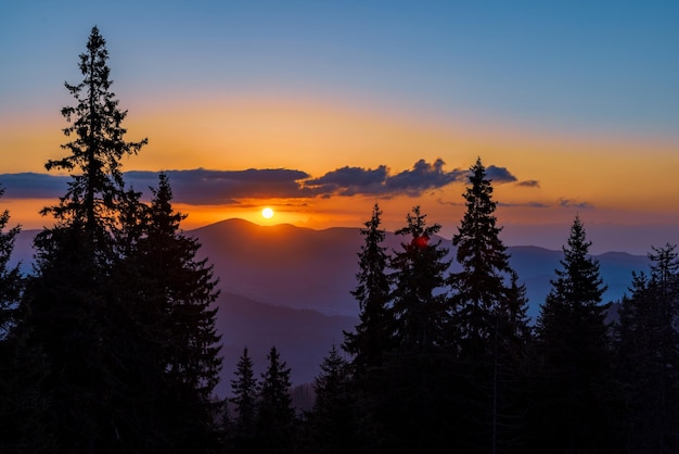 Sagome di abeti nella valle montuosa dei Monti Rodopi sullo sfondo di un cielo al tramonto