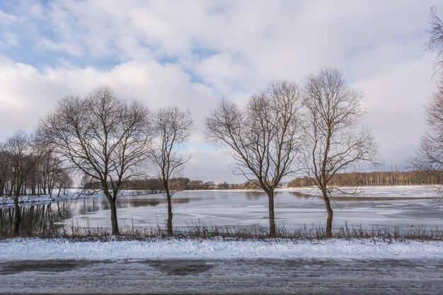 Sagome di alberi nudi sullo sfondo di un lago ghiacciato invernale e un paesaggio innevato