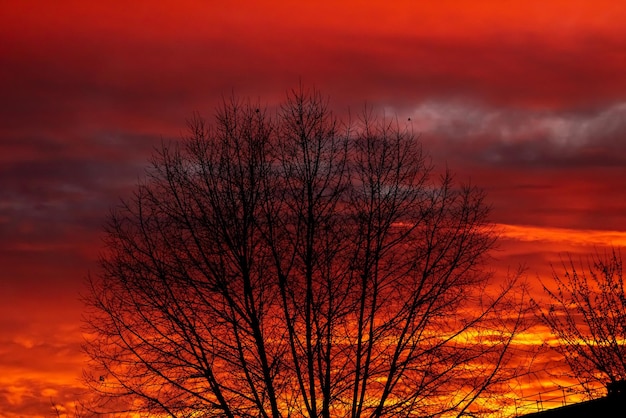 Sagome di case sullo sfondo del cielo rosso scuro