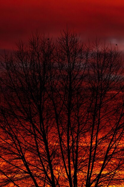 Sagome di case sullo sfondo del cielo rosso scuro