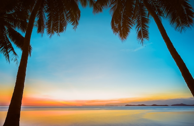 Sagome di palme da cocco sulla spiaggia del mare tropicale al tramonto