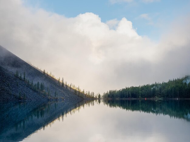 Sagome mattutine di cime appuntite di abete sul pendio lungo il lago di montagna in una fitta nebbia Paesaggio alpino tranquillo al mattino presto con riflesso nell'acqua pulita Scenario suggestivo e spettrale scuro