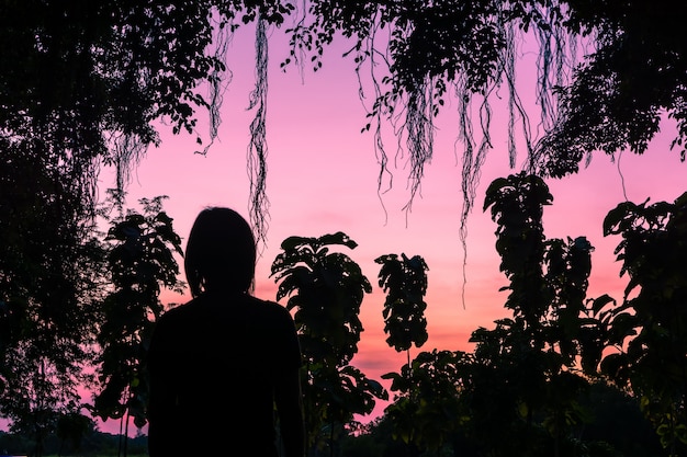 Sagome, tramonti tra gli alberi. Luce e bellezza del cielo al tramonto.