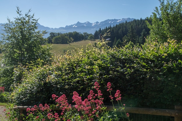 Saint hilaire du touvetiserefrance