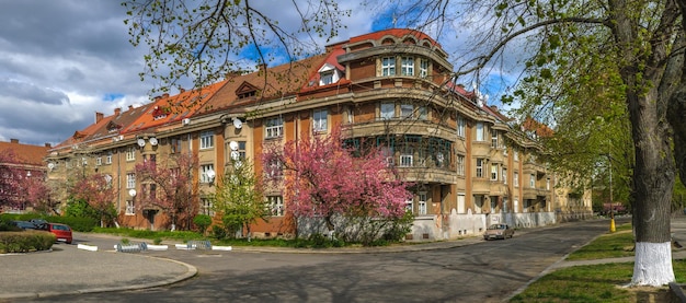 Sakura blossom nella città di Uzhgorod in Ucraina Panorama primaverile delle strade della città