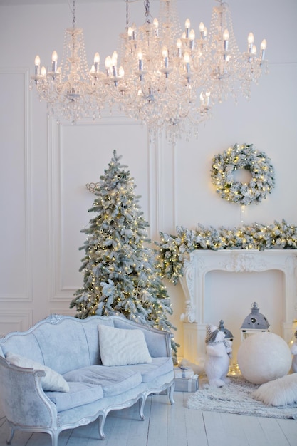 Sala reale con albero di Natale e camino