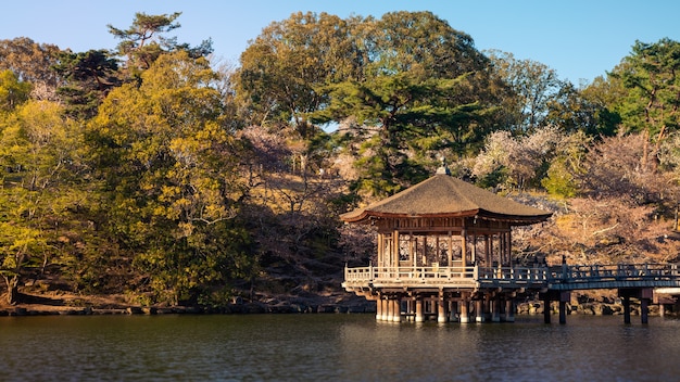 Sala Ukimi-do sopra lo stagno nel parco di Nara durante i fiori di sakura, Giappone. Tempio esagonale galleggiante nel lago Sagi-ike