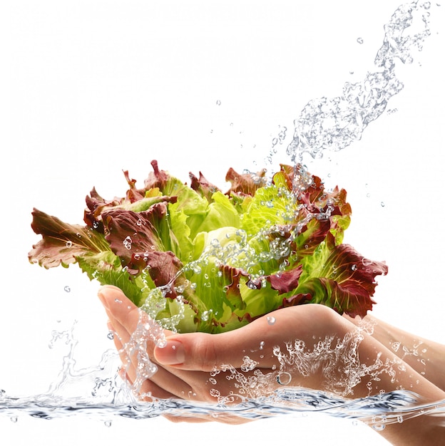 Salade fresco a mano a mano che cade in acqua