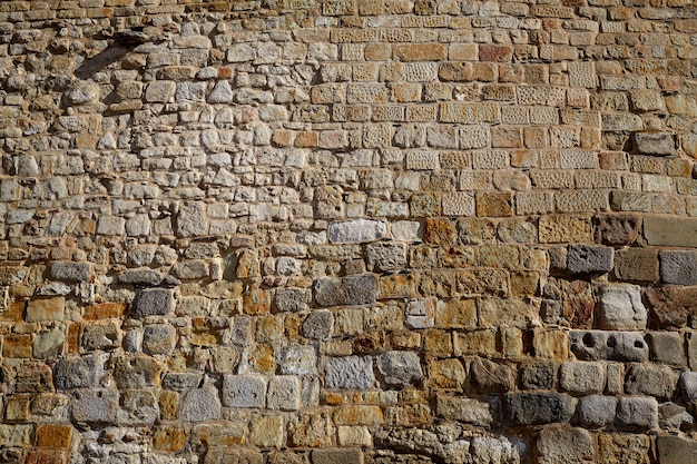 Salamanca in Spagna muratura dettaglio Spagna