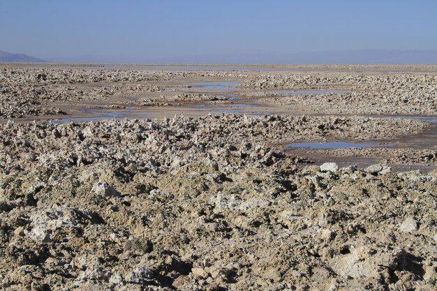 Salar de Atacma Cile