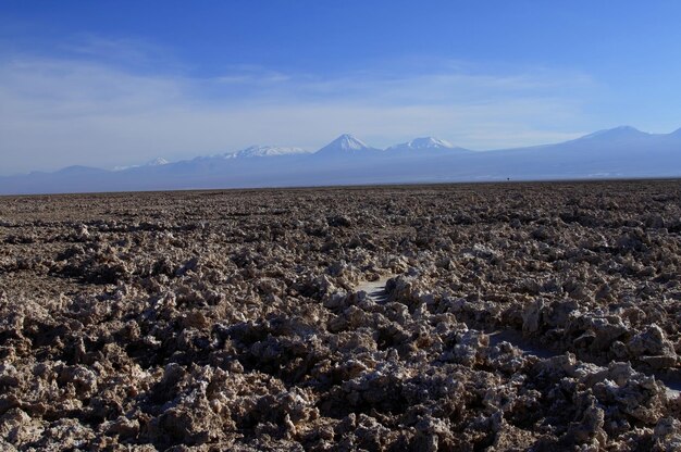 Salar de Atacma Cile