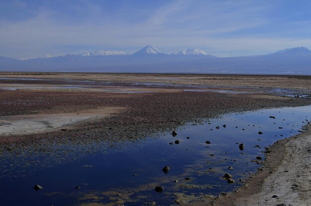 Salar de Atacma Cile