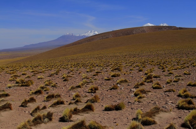 Salar de Atacma Cile