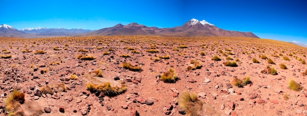 Salar de Atacma Cile