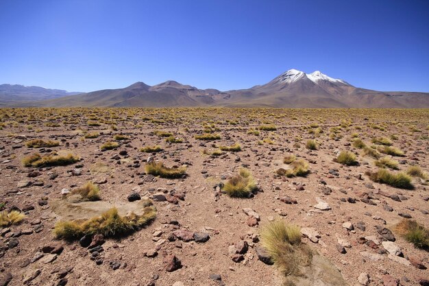 Salar de Atacma Cile