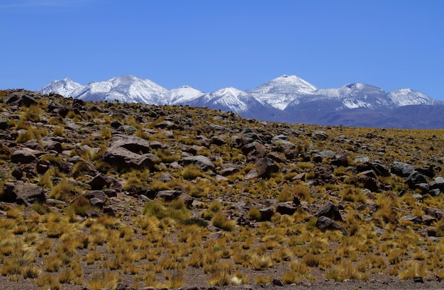 Salar de Atacma Cile