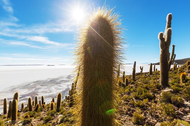 Salar de Uyuni