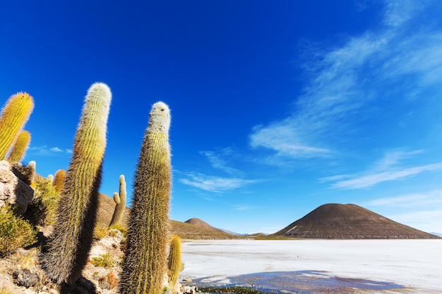 Salar de Uyuni