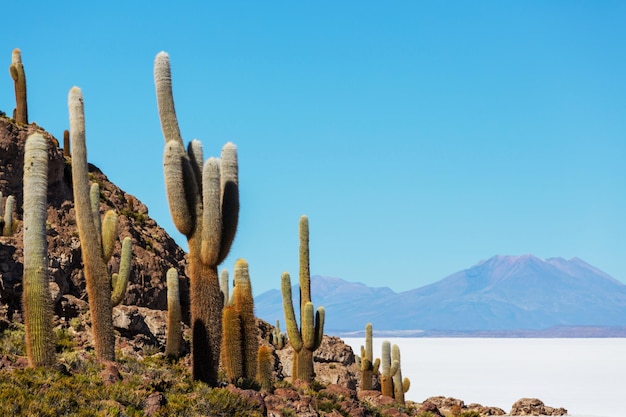 Salar de Uyuni