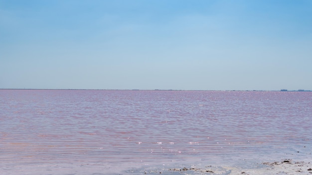 Sale marino rosa del paesaggio creato da microscopiche alghe unicellulari secernono