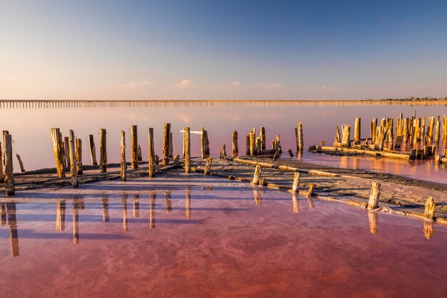 Sale su un lago salato rosa al tramonto Lago salato rosa Torrevieja