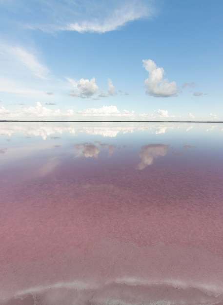 Salina paesaggio lagunare La Pampa Provincia Patagonia Argentina