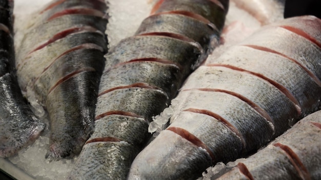 Salmone crudo fresco storione pesce dorado e branzino giacciono sul bancone con ghiaccio nel mercato del pesce Scaffale aperto in un negozio di frutti di mare Primo piano