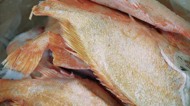 Salmone crudo fresco storione pesce dorado e branzino giacciono sul bancone con ghiaccio nel mercato del pesce Scaffale aperto in un negozio di frutti di mare Primo piano