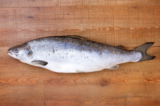 Salmone in tavola che cucina frutti di mare