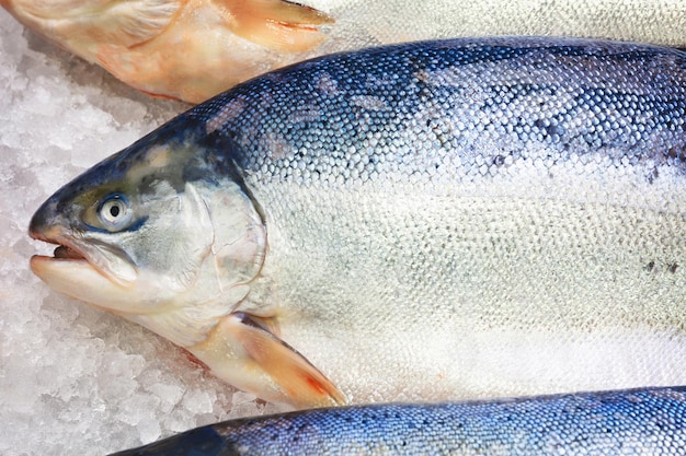 Salmone norvegese fresco su ghiaccio al supermercato