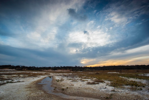 Salnitro sul fondo di una laguna in un ambiente semidesertico nella provincia di La Pampa