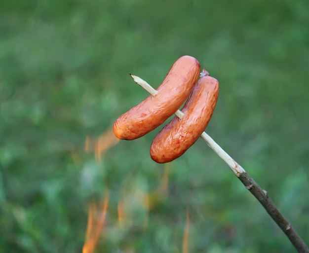 Salsicce alla griglia per un picnic all'aperto sul braciere