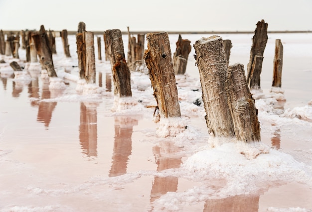 Salt Lake con acqua rosa.