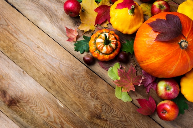 Saluto di caduta con zucca gialla, copia.