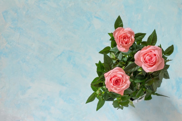 Saluto San Valentino, festa della mamma o compleanno. Bouquet di fiori di rosa freschi. Copia spazio.